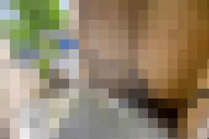 't Abdij 12 Ermelo thumbnail 30