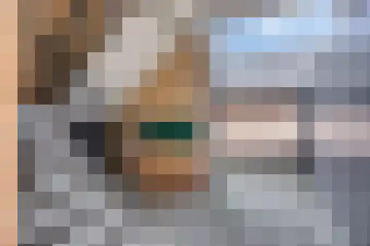 't Abdij 12 Ermelo thumbnail 31