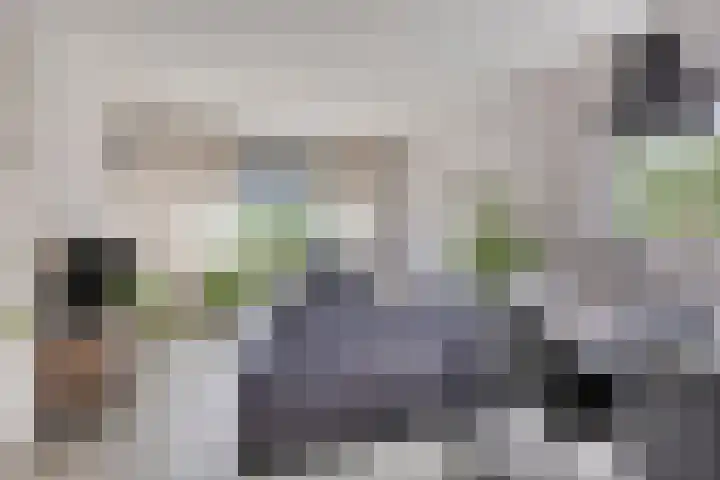 't Abdij 12 Ermelo thumbnail 6