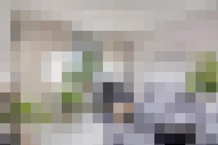 't Abdij 12 Ermelo thumbnail 7