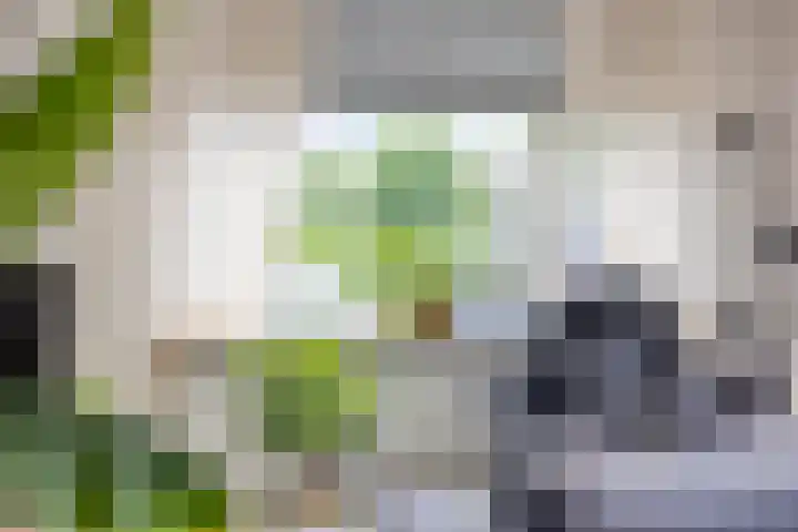 't Abdij 12 Ermelo thumbnail 8