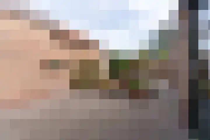 't Abdij 19 Ermelo thumbnail 25
