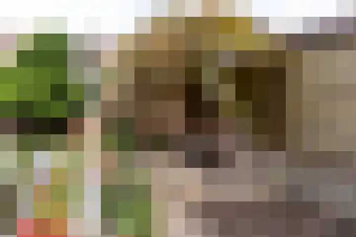 't Abdij 19 Ermelo thumbnail 27