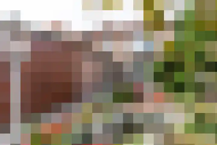 't Abdij 19 Ermelo thumbnail 28