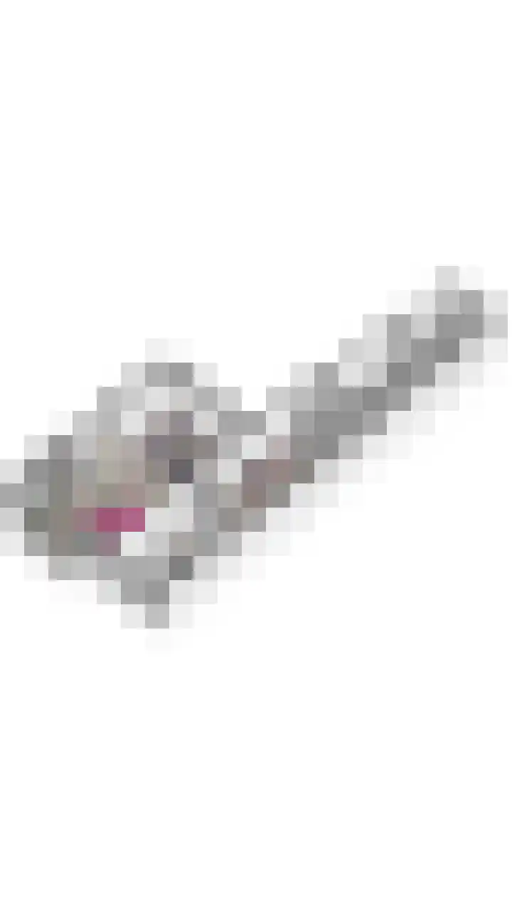 't Abdij 19 Ermelo thumbnail 33