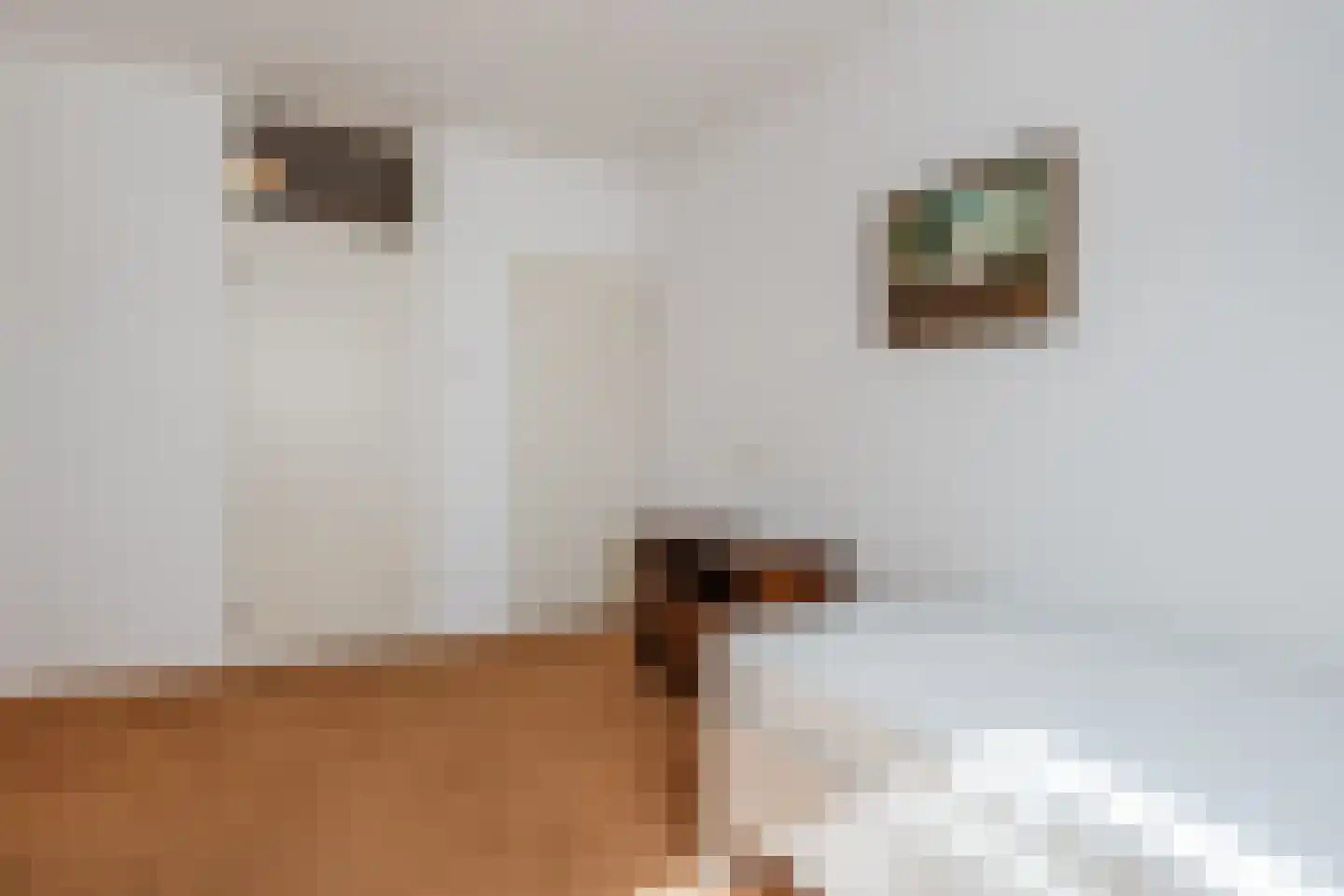 't Abdij 36 Ermelo thumbnail 24