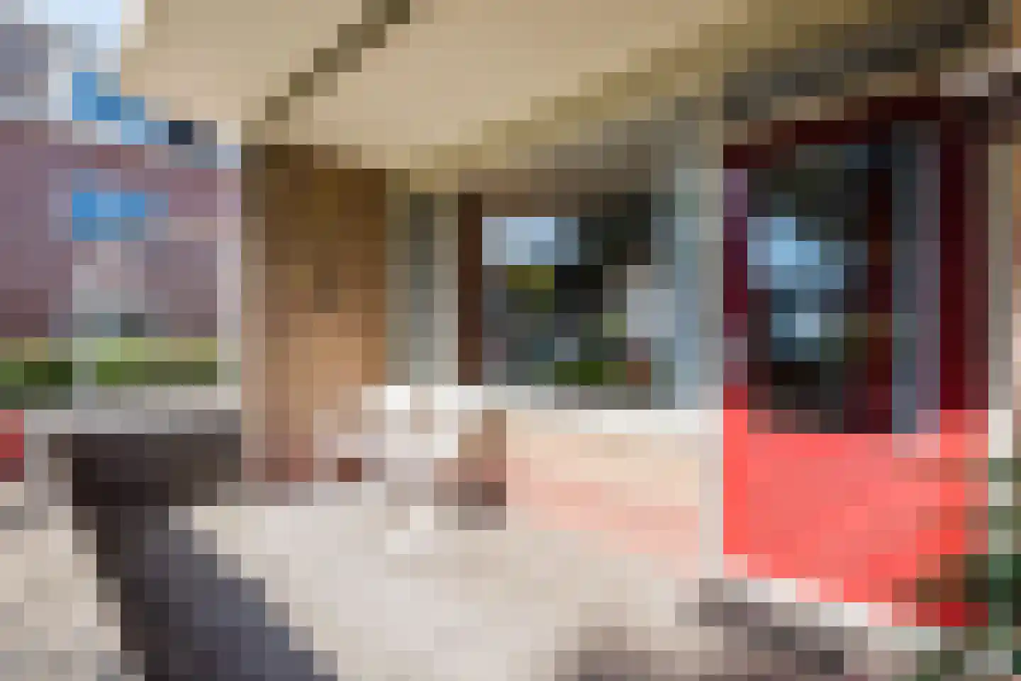 't Abdij 36 Ermelo thumbnail 30