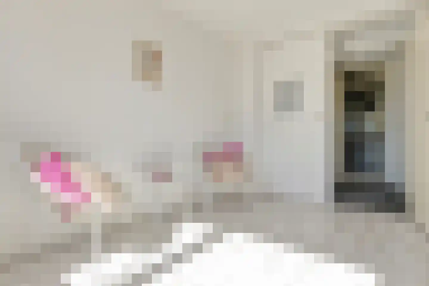 't Achterhuis 5 Veenendaal thumbnail 16