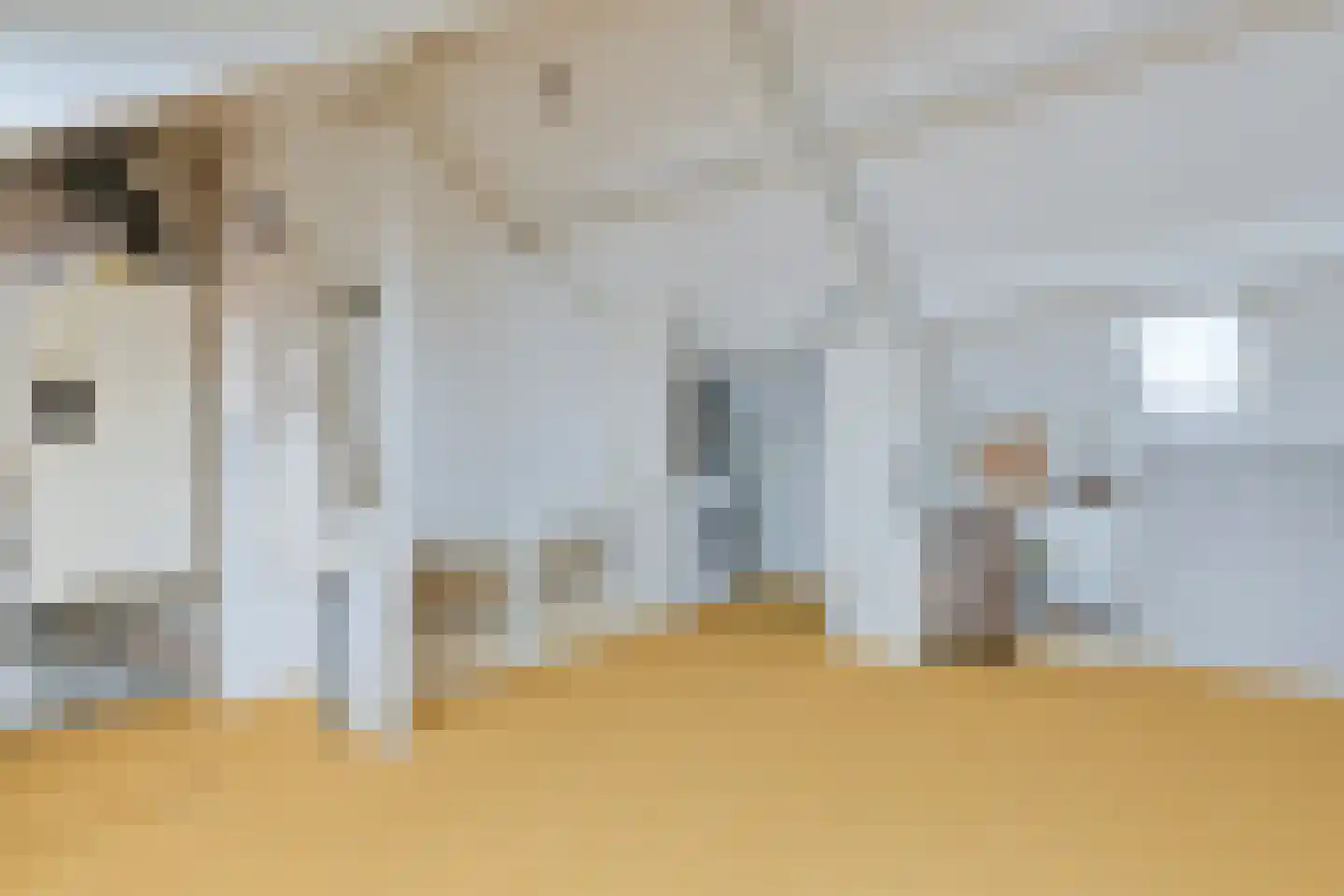 't Achterhuis 5 Veenendaal thumbnail 21