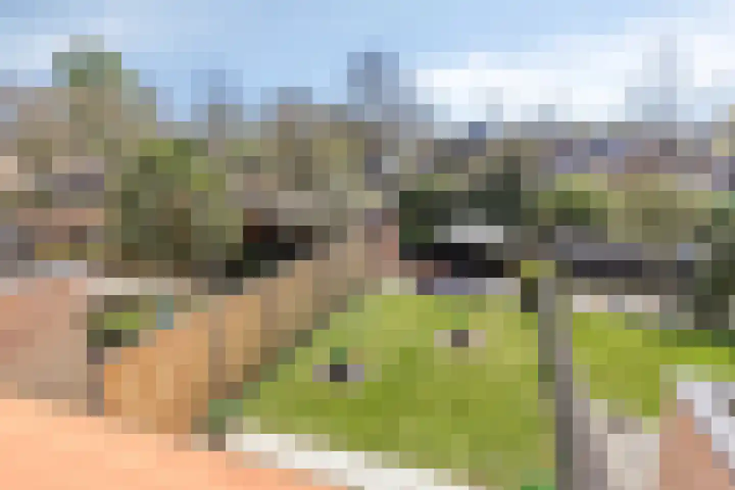 't Achterhuis 5 Veenendaal thumbnail 22