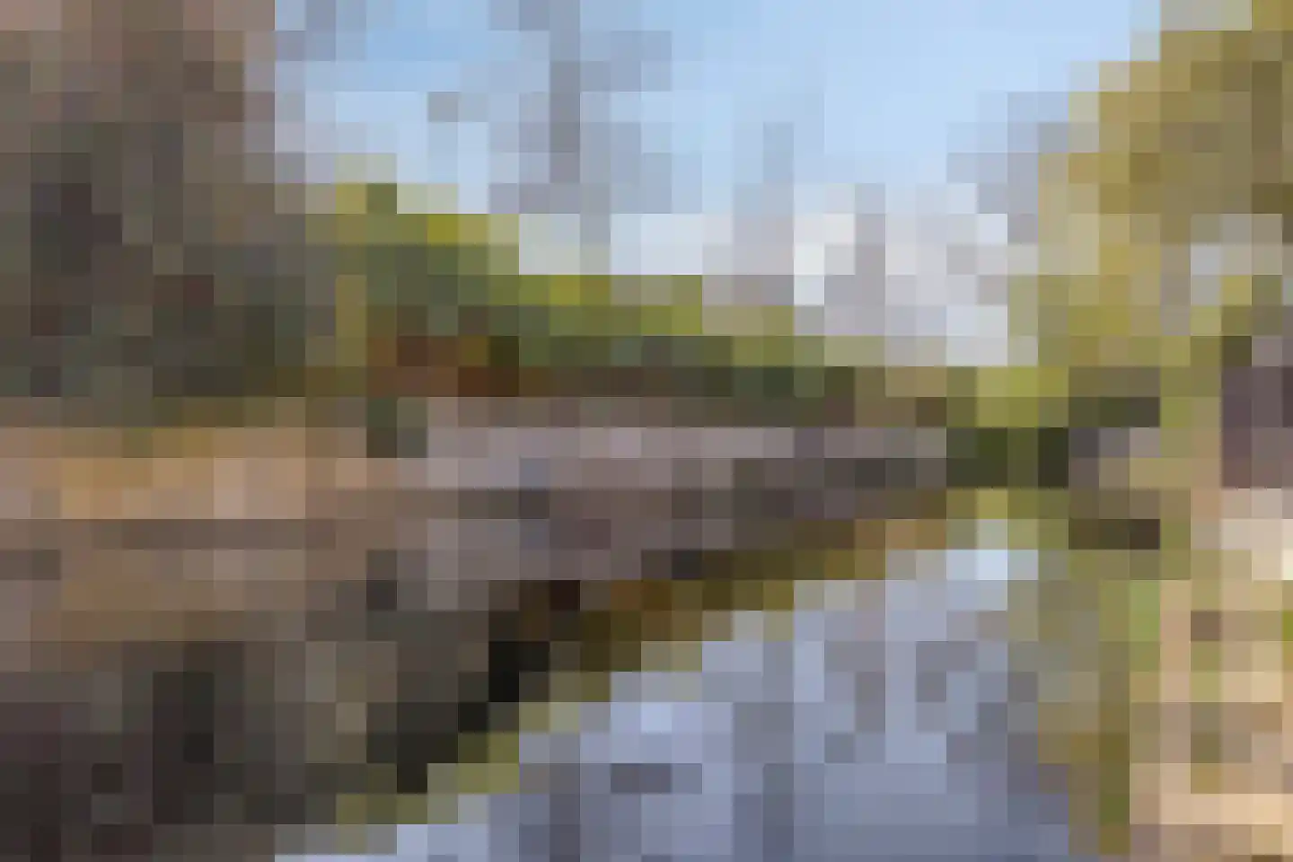 't Achterhuis 5 Veenendaal thumbnail 25