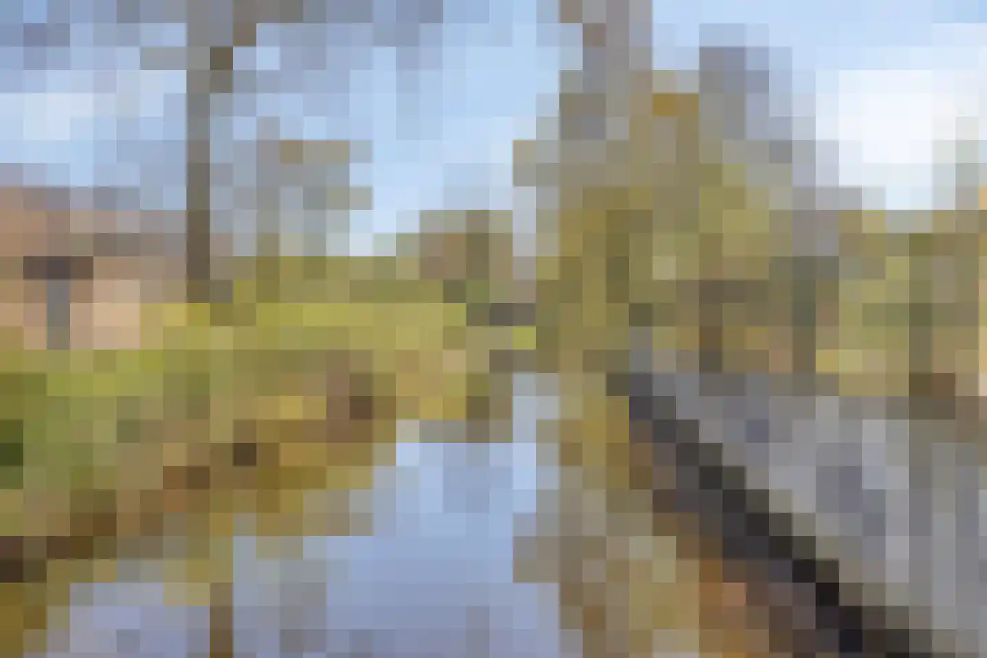 't Achterhuis 5 Veenendaal thumbnail 29