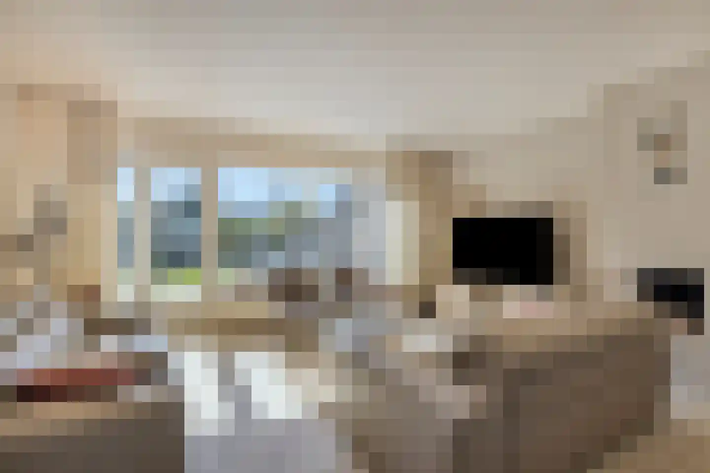 't Achterhuis 5 Veenendaal thumbnail 4