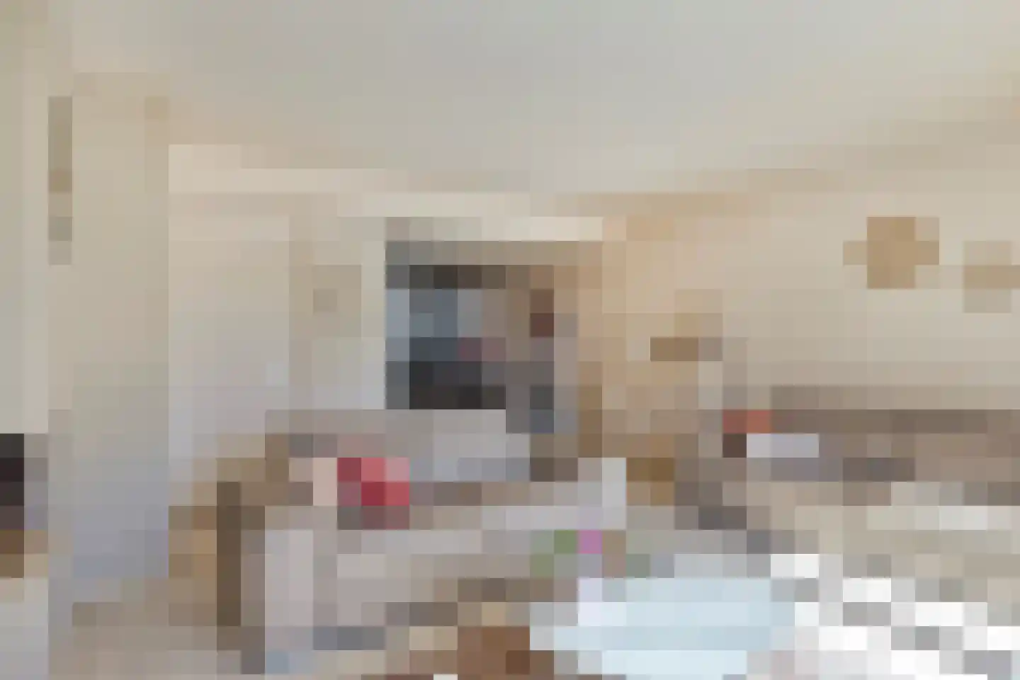 't Achterhuis 5 Veenendaal thumbnail 5