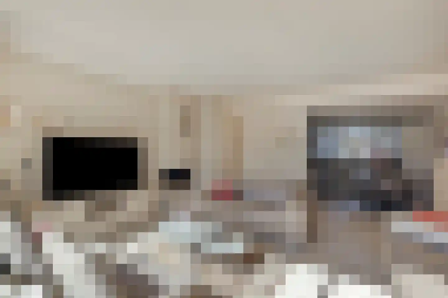 't Achterhuis 5 Veenendaal thumbnail 6