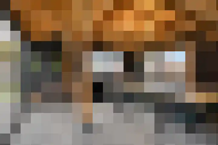 't Achterom 5 Sint-Oedenrode thumbnail 102