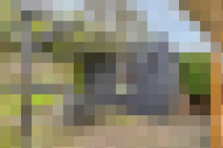 't Achterom 5 Sint-Oedenrode thumbnail 105