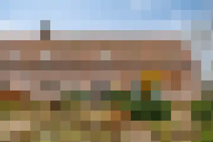 't Achterom 5 Sint-Oedenrode thumbnail 106