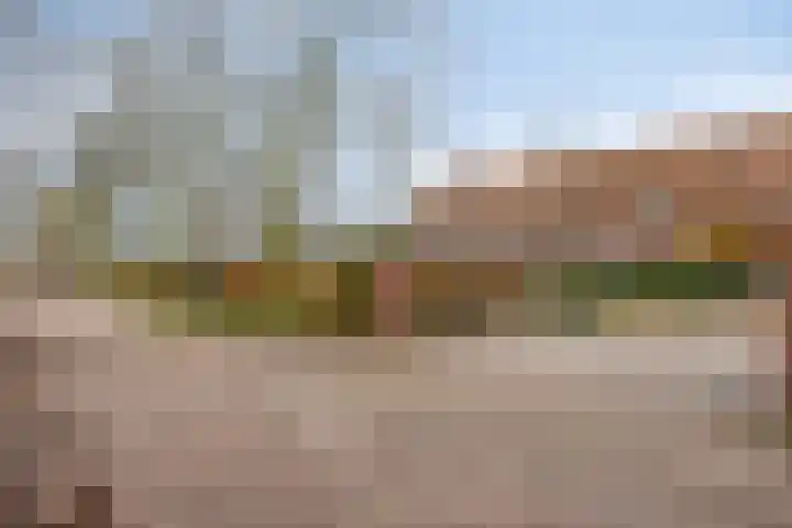 't Achterom 5 Sint-Oedenrode thumbnail 108