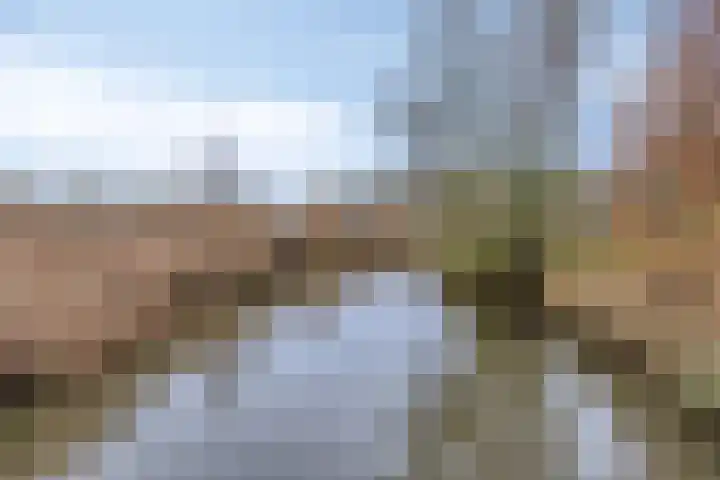 't Achterom 5 Sint-Oedenrode thumbnail 110