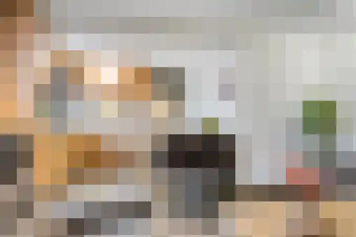 't Achterom 5 Sint-Oedenrode thumbnail 12