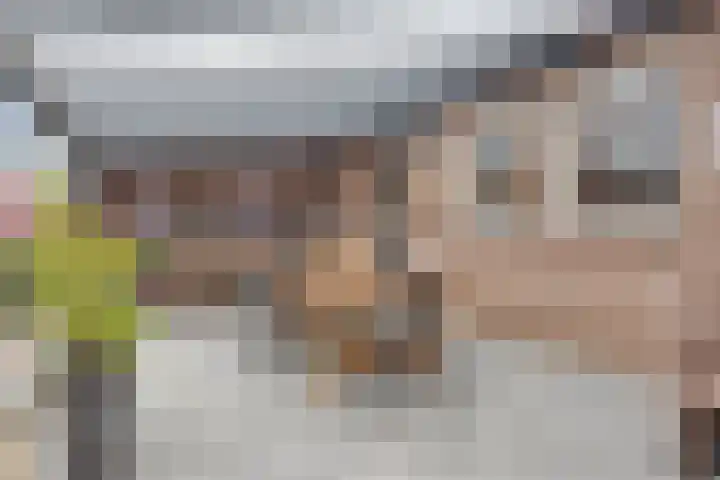 't Achterom 5 Sint-Oedenrode thumbnail 17