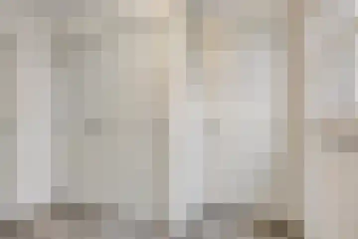 't Achterom 5 Sint-Oedenrode thumbnail 20
