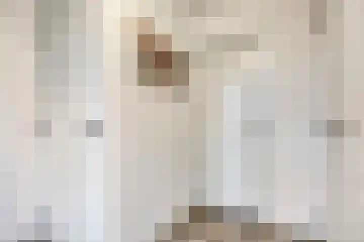 't Achterom 5 Sint-Oedenrode thumbnail 22