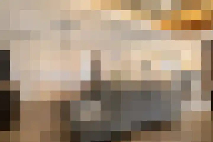't Achterom 5 Sint-Oedenrode thumbnail 25