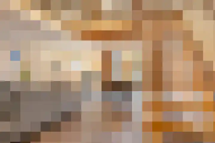 't Achterom 5 Sint-Oedenrode thumbnail 26