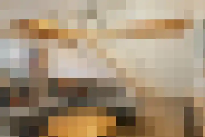 't Achterom 5 Sint-Oedenrode thumbnail 28
