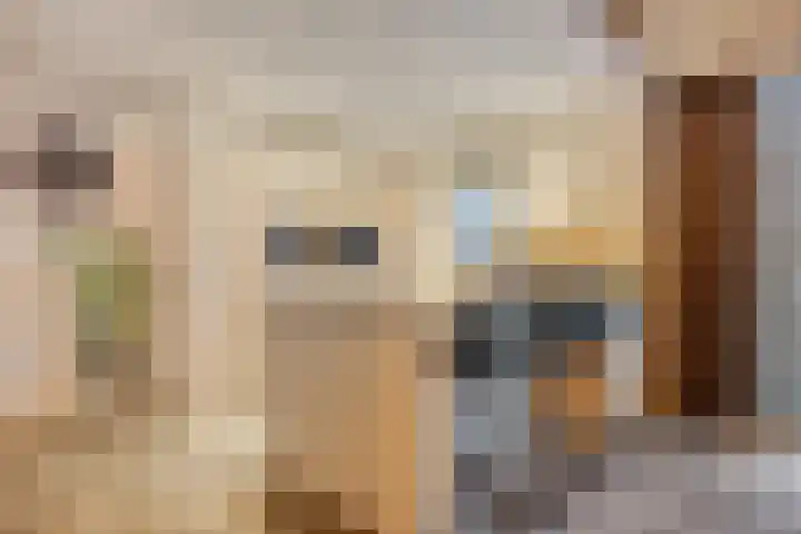 't Achterom 5 Sint-Oedenrode thumbnail 31