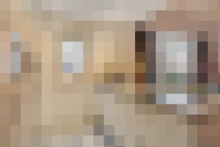 't Achterom 5 Sint-Oedenrode thumbnail 32