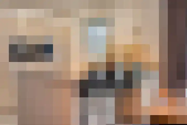 't Achterom 5 Sint-Oedenrode thumbnail 37