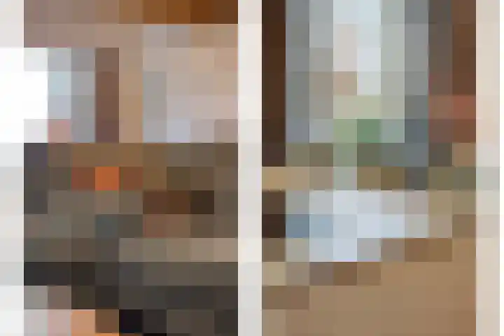 't Achterom 5 Sint-Oedenrode thumbnail 38