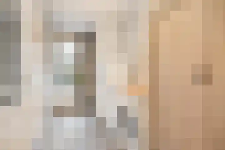 't Achterom 5 Sint-Oedenrode thumbnail 43