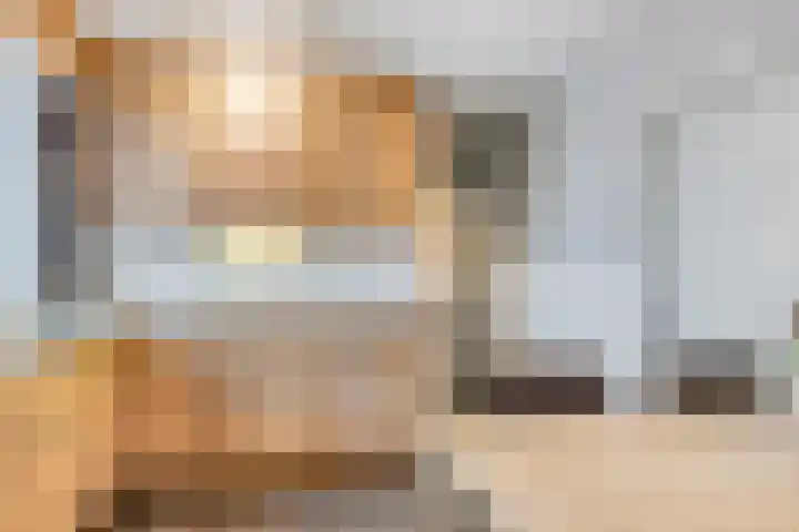 't Achterom 5 Sint-Oedenrode thumbnail 47