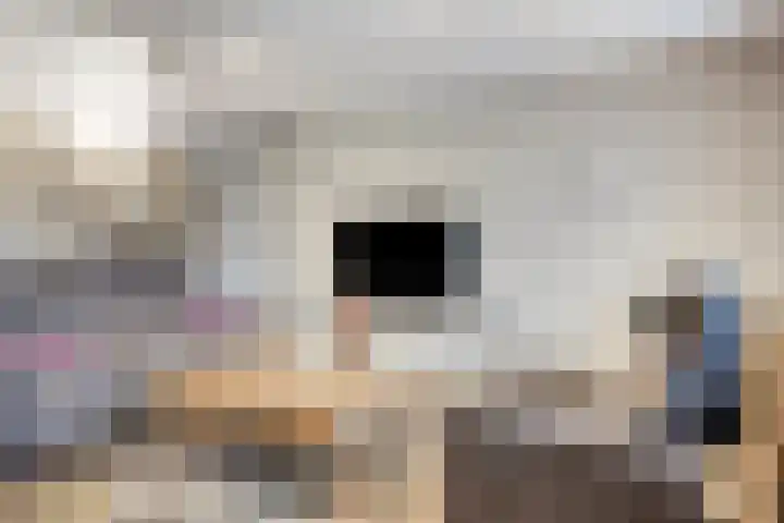 't Achterom 5 Sint-Oedenrode thumbnail 48