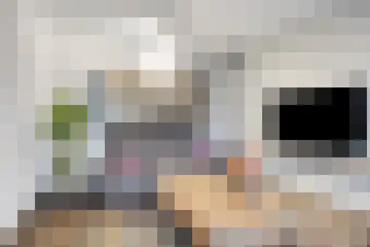't Achterom 5 Sint-Oedenrode thumbnail 49