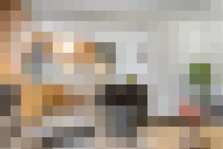 't Achterom 5 Sint-Oedenrode thumbnail 50