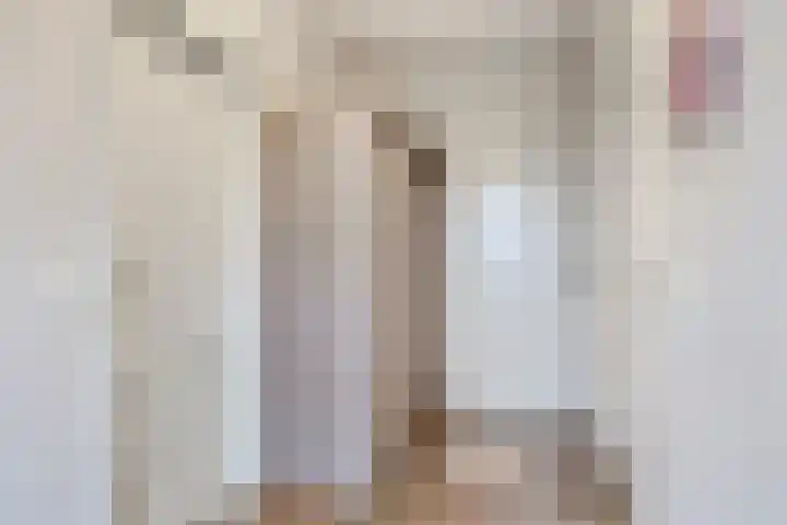 't Achterom 5 Sint-Oedenrode thumbnail 52