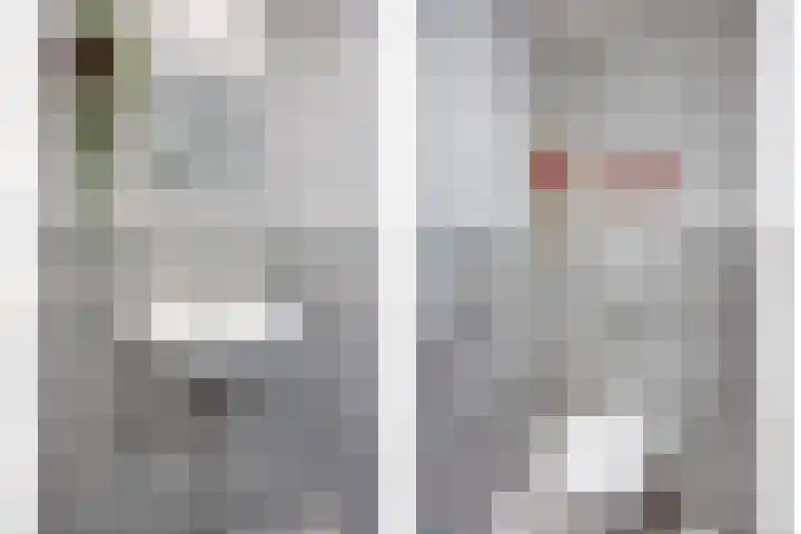 't Achterom 5 Sint-Oedenrode thumbnail 53