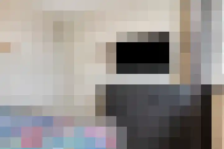 't Achterom 5 Sint-Oedenrode thumbnail 55