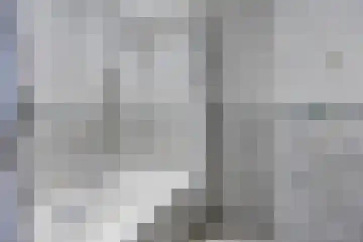't Achterom 5 Sint-Oedenrode thumbnail 56