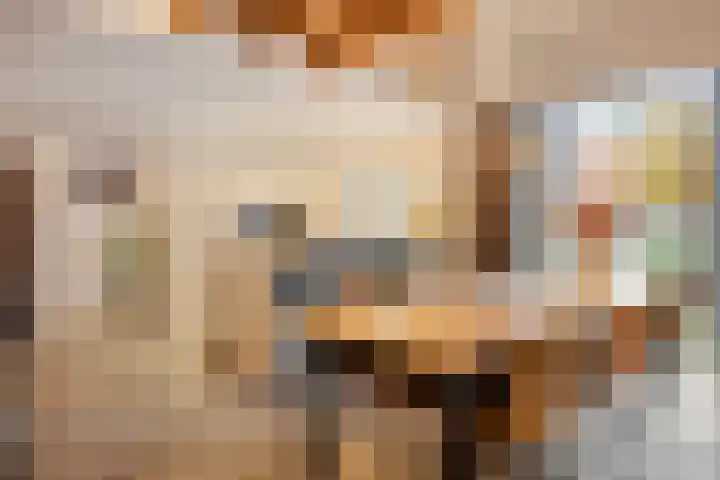 't Achterom 5 Sint-Oedenrode thumbnail 6