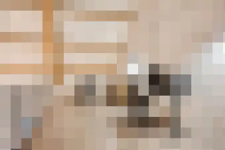 't Achterom 5 Sint-Oedenrode thumbnail 61