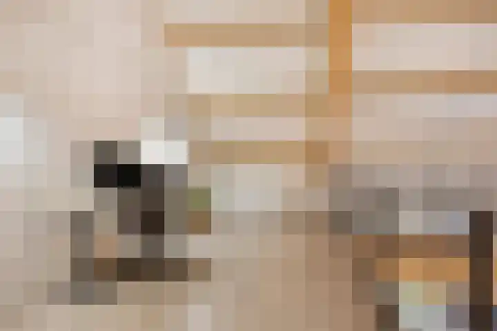 't Achterom 5 Sint-Oedenrode thumbnail 62
