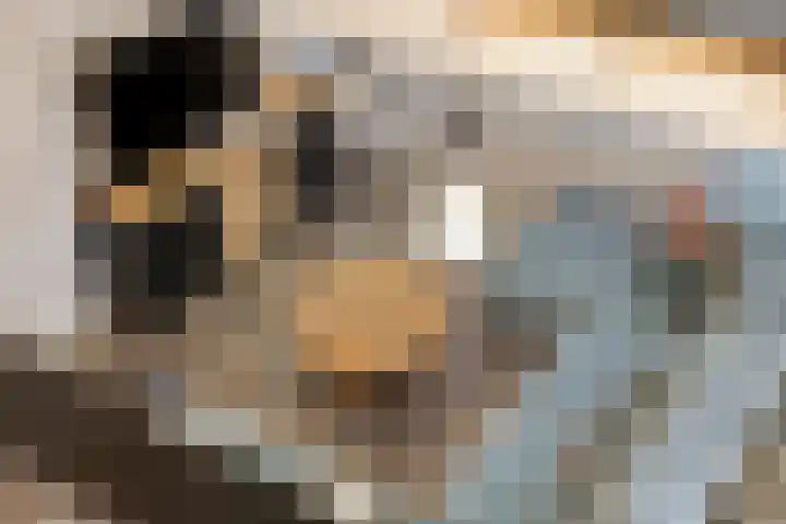 't Achterom 5 Sint-Oedenrode thumbnail 63