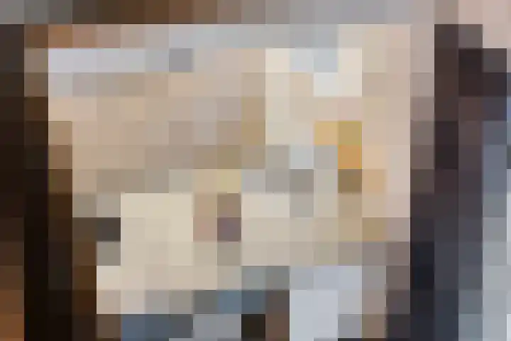 't Achterom 5 Sint-Oedenrode thumbnail 64