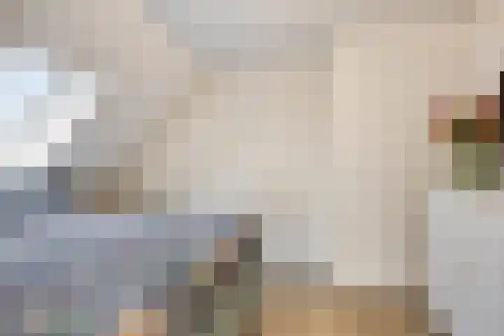 't Achterom 5 Sint-Oedenrode thumbnail 68